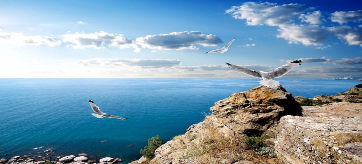 Курорты Крыма: где остановиться для отдыха